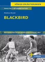 Matthias Brand: Blackbird (Gegenwartsliteratur) - Textanalyse und Interpretation mit Zusammenfassung, Inhaltsangabe, Charakterisierung, Szenenanalyse, Prüfungsaufgaben uvm - Deutsch