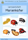 Lernwerkstatt Marienkäfer - Fächerübergreifende Lernwerkstatt - Sachunterricht
