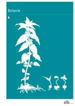 Botanik - Arbeitsblätter und Kopiervorlagen - Natur & Technik - Biologie
