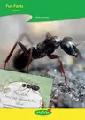 Fun Facts - Ameisen - Mensch - Tier - Natur - Sachunterricht