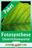 Fotosynthese - Unterrichtsmaterialien im Paket - Stationenlernen, Übungstests und mehr - Biologie