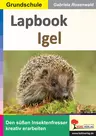 Lapbook Igel - Den süßen Insektenfresser kreativ erarbeiten - Sachunterricht