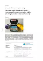 The African American experience: Film in a box - Eine mündliche Präsentation zu einem Film - Landeskunde – Divisions and Groupings in Society - Englisch