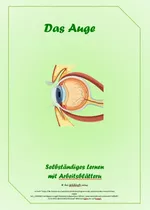 Arbeitsblätter: Das Auge - Selbstständiges Lernen mit Arbeitsblättern - Biologie