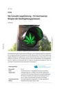 Die Cannabis-Legalisierung - Ein kontroverses Beispiel des Gesetzgebungsprozesses - Sowi/Politik