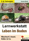 Lernwerkstatt Leben im Boden: Maulwurf, Assel, Käfer & Co - Sachunterricht