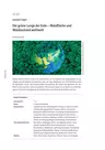 Der Wald: Die grüne Lunge der Erde - Waldfläche und Waldzustand weltweit - globale Fragen - Erdkunde/Geografie