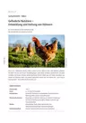 Entwicklung und Haltung von Hühnern - Gefiederte Nutztiere - Sachunterricht