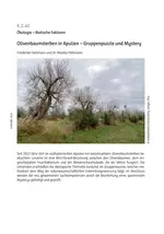 Biologie Botanik: Olivenbaumsterben in Apulien - Gruppenpuzzle und Mystery - Ökologie – Biotische Faktoren - Biologie