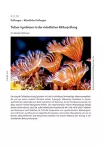 Tiefsee-Symbiosen in der mündlichen Abiturprüfung - Prüfungen – Mündliche Prüfungen - Biologie