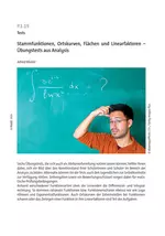 Stammfunktionen, Ortskurven, Flächen und Linearfaktoren - Übungstests aus Analysis - Mathematik