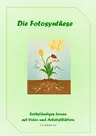 Fotosynthese - Arbeitsblätter und Erklärvideos - Unterrichtsmaterial Biologie - Biologie